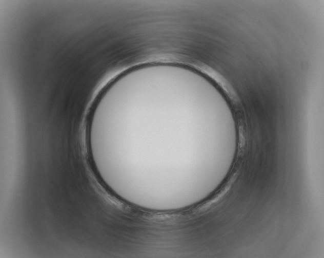 X0000112751078200908201008