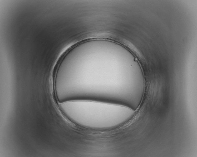 X0000112751079200908201008