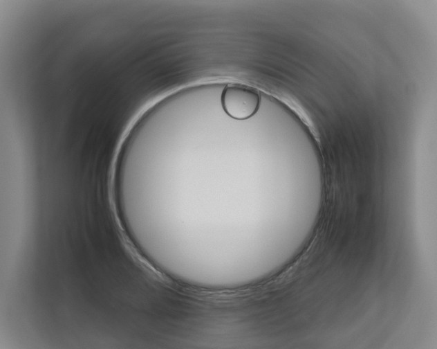 X0000112751080200908201008