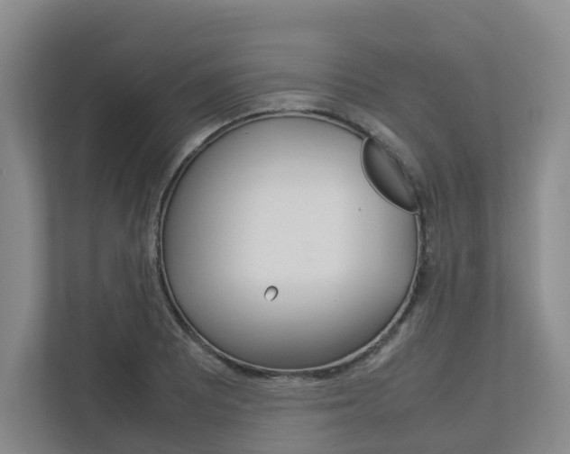 X0000112751081200908201008