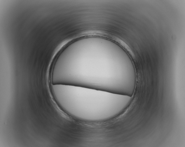 X0000112751082200908201008