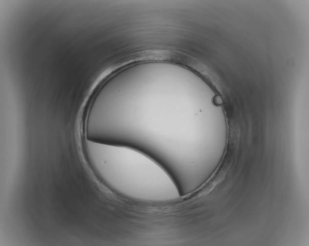 X0000112751083200908201008