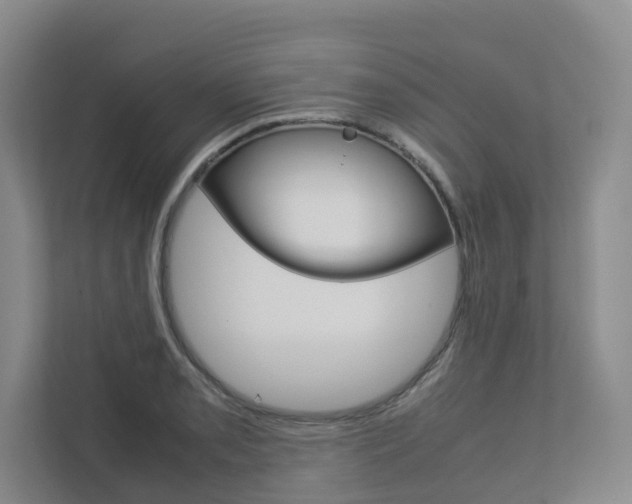 X0000112751085200908201008