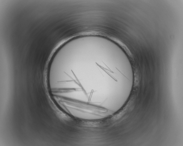 X0000112751086200908201008