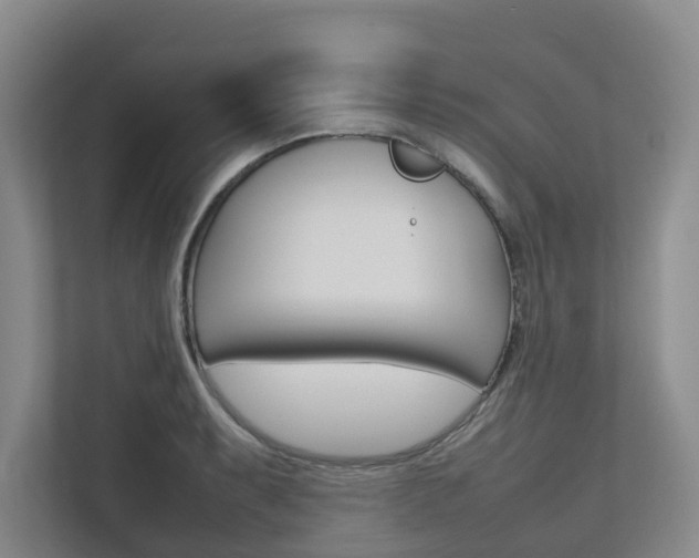 X0000112751087200908201008