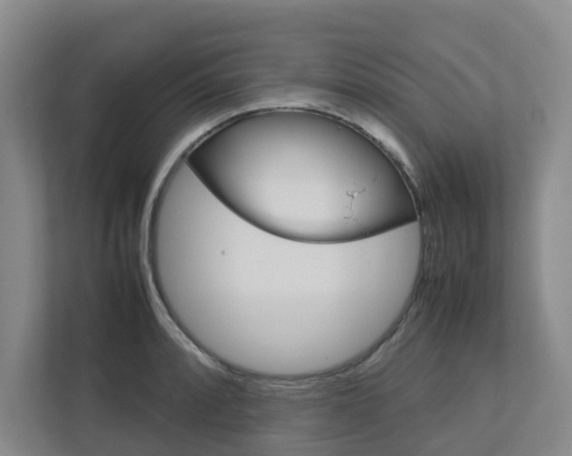 X0000112751088200908201008