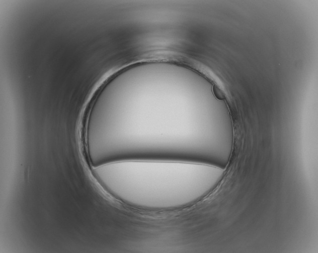 X0000112751091200908201008