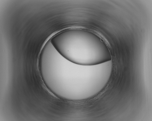 X0000112751092200908201008