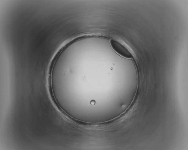 X0000112751093200908201008