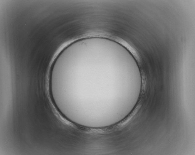 X0000112751094200908201008