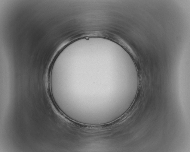 X0000112751095200908201008