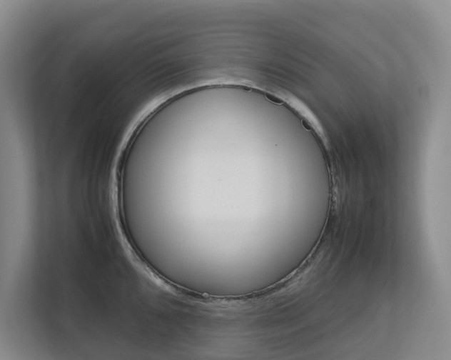 X0000112751096200908201008