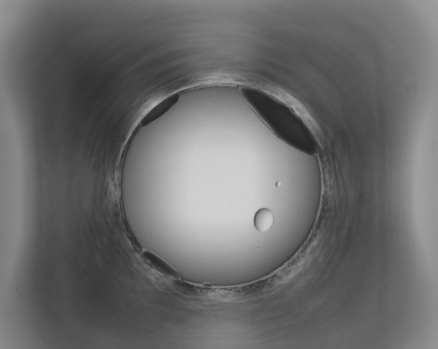 X0000112751097200908201008