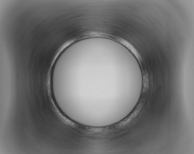 X0000112751098200908201008