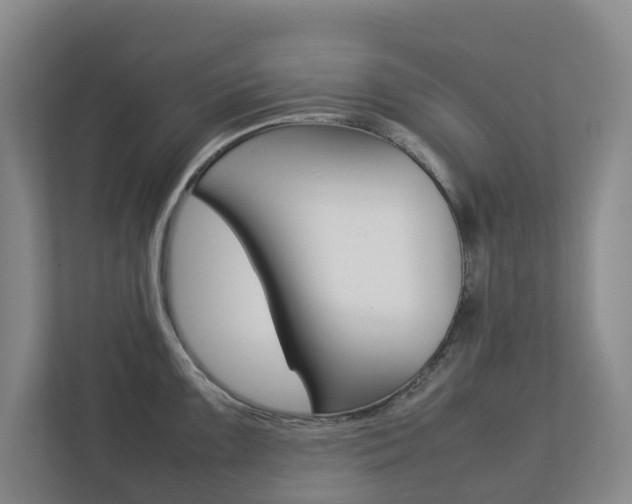X0000112751099200908201008