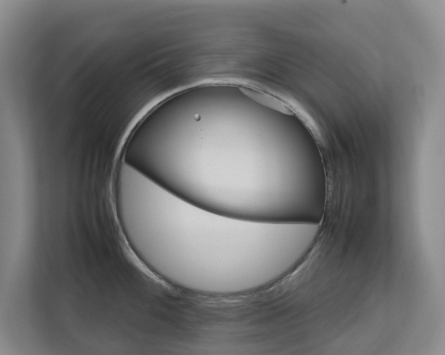 X0000112751100200908201008