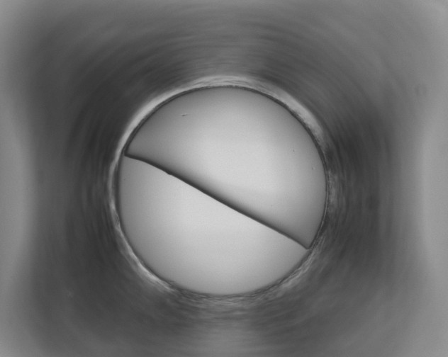 X0000112751102200908201008