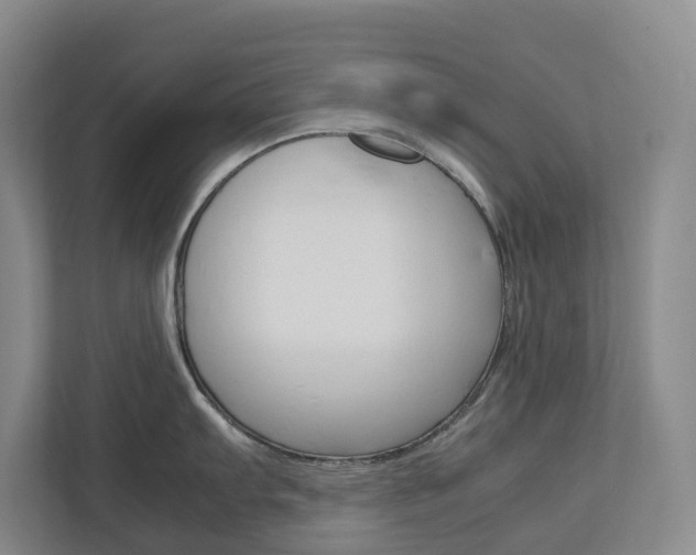 X0000112751103200908201008