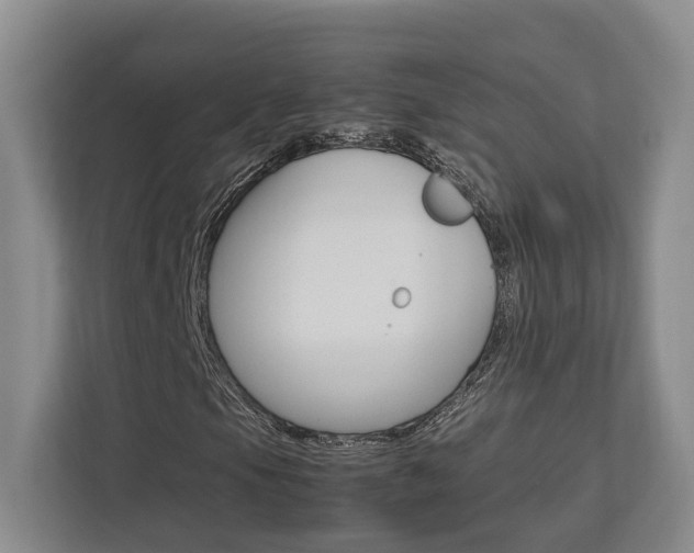 X0000112751105200908201007