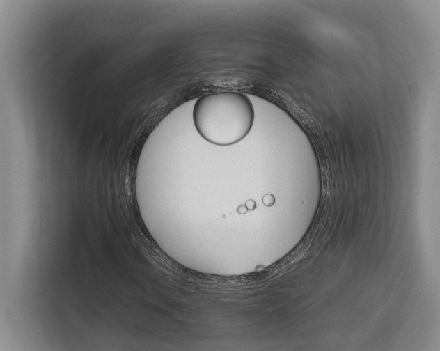 X0000112751106200908201007