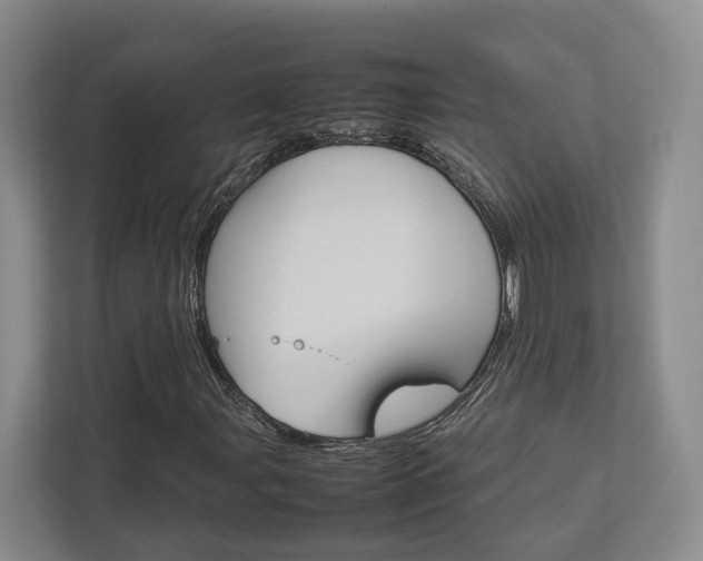 X0000112751107200908201008