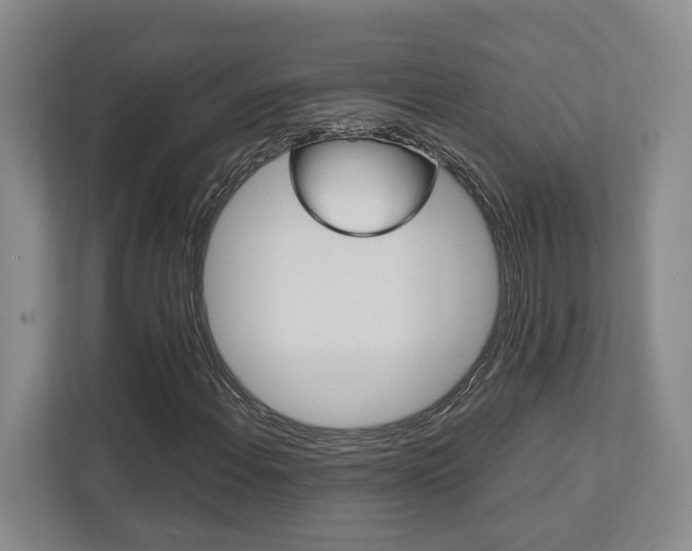 X0000112751108200908201008