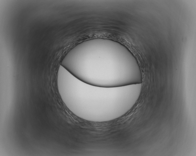 X0000112751109200908201008