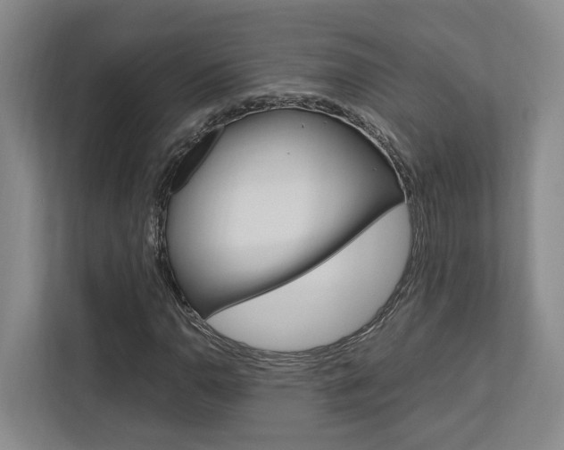 X0000112751110200908201008