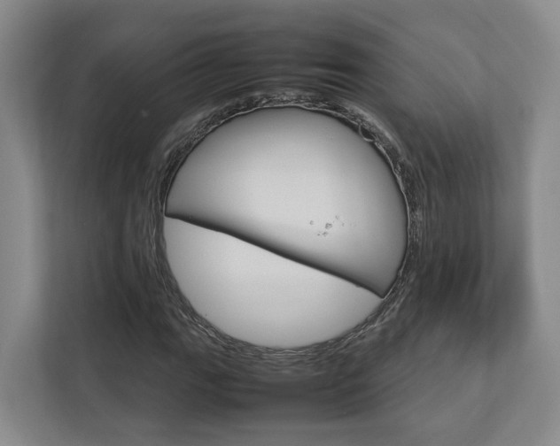 X0000112751111200908201008