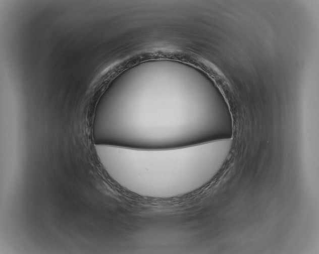 X0000112751112200908201008