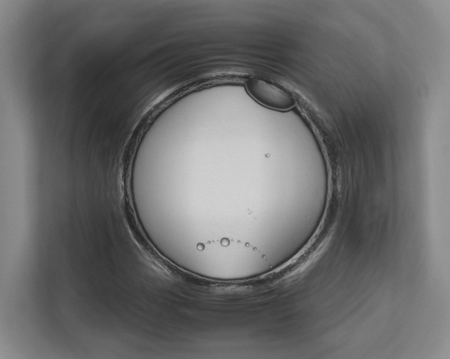 X0000112751113200908201008