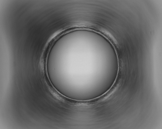 X0000112751114200908201008