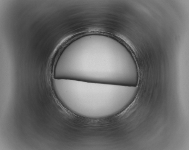 X0000112751115200908201008