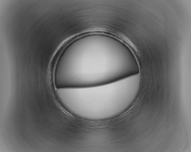 X0000112751116200908201008