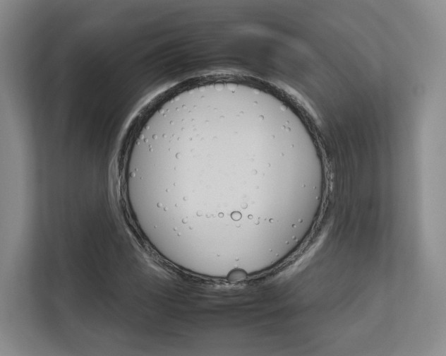 X0000112751117200908201008