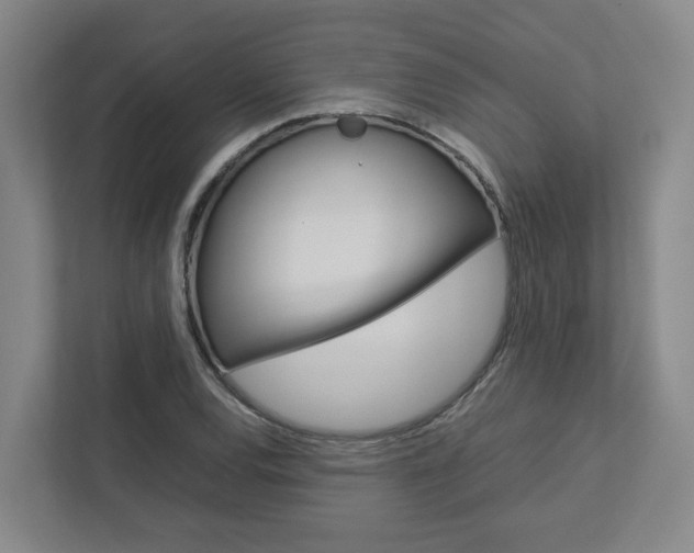 X0000112751120200908201008
