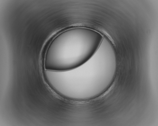 X0000112751122200908201008