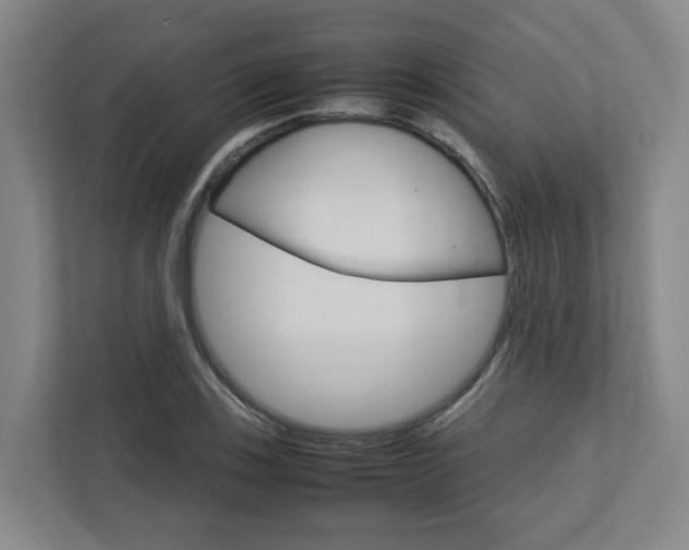X0000112751123200908201008