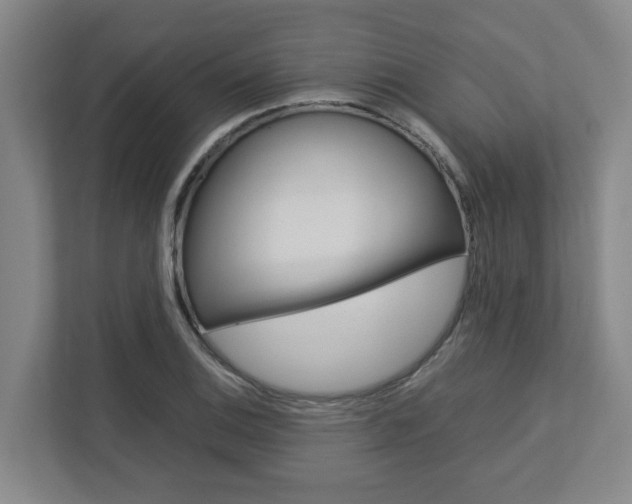 X0000112751124200908201008