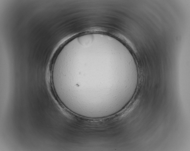 X0000112751125200908201008