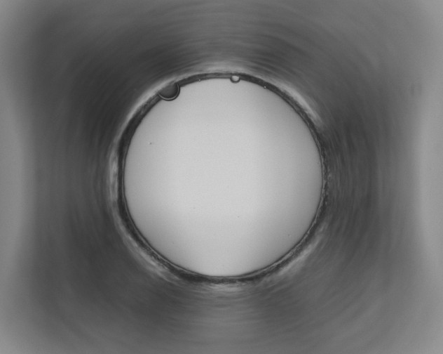 X0000112751126200908201008