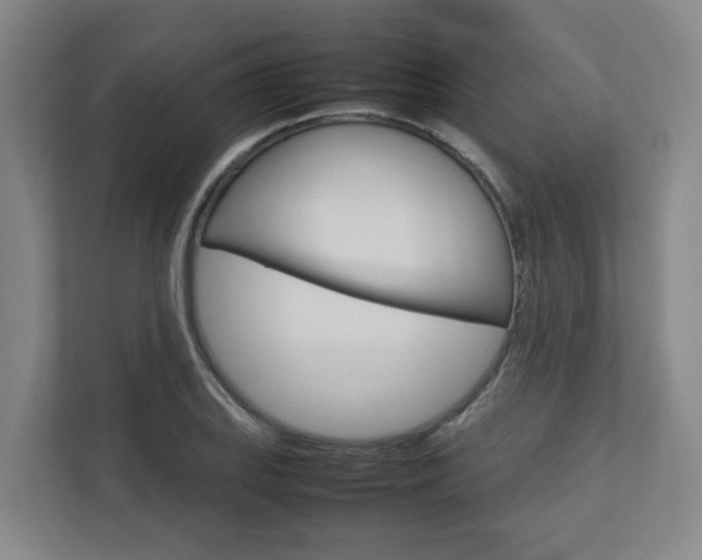 X0000112751127200908201008