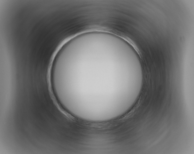 X0000112751128200908201008