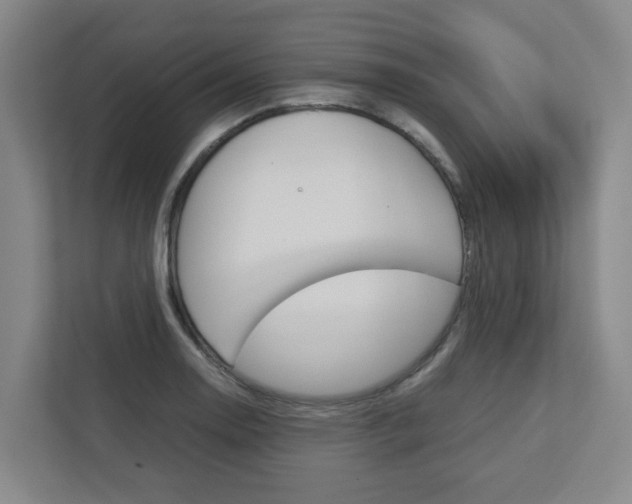 X0000112751130200908201008