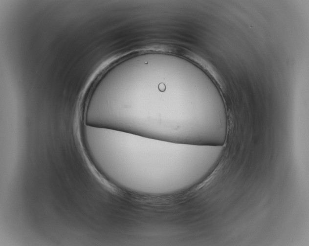 X0000112751131200908201008