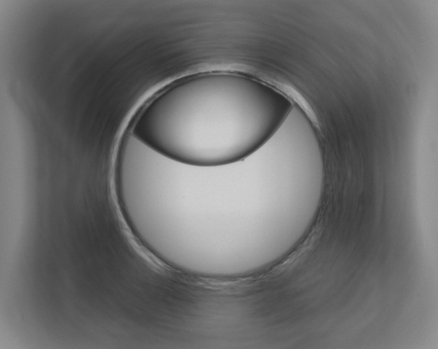 X0000112751132200908201008