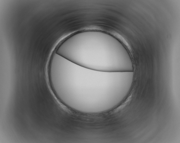 X0000112751133200908201008