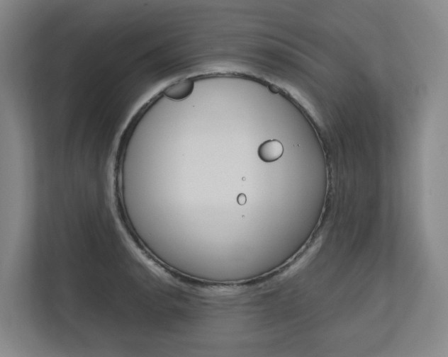X0000112751134200908201008