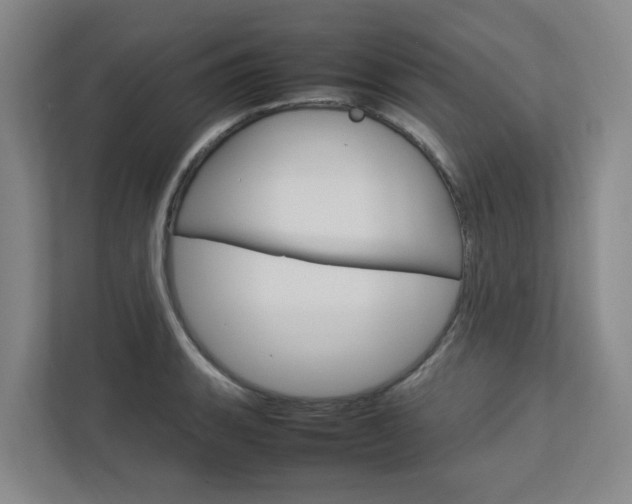 X0000112751135200908201008