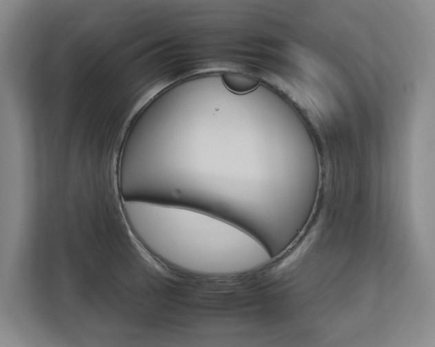 X0000112751137200908201008